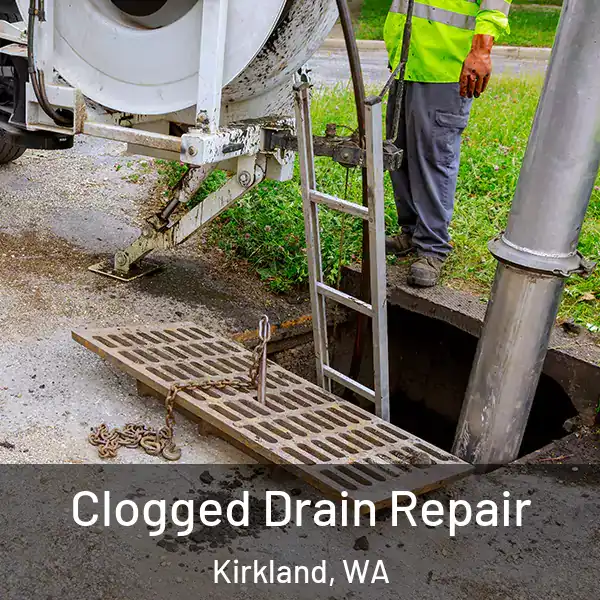  Clogged Drain Repair Kirkland, WA