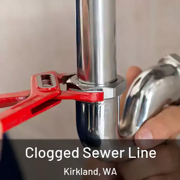  Clogged Sewer Line Kirkland, WA