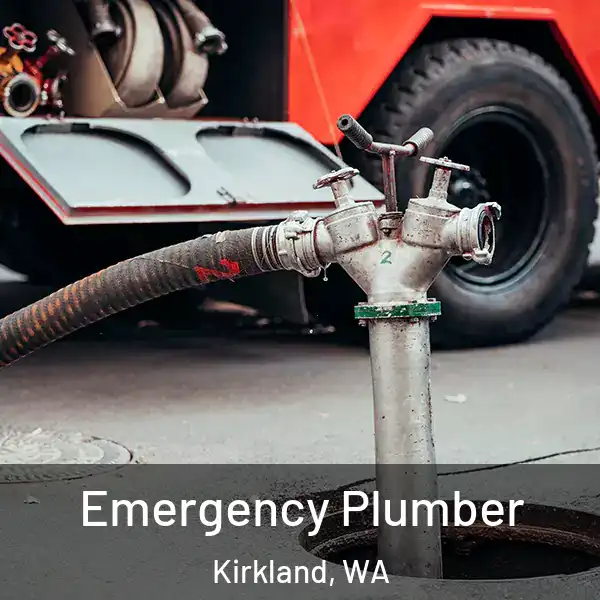  Emergency Plumber Kirkland, WA