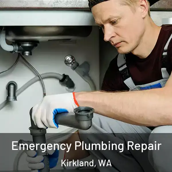  Emergency Plumbing Repair Kirkland, WA