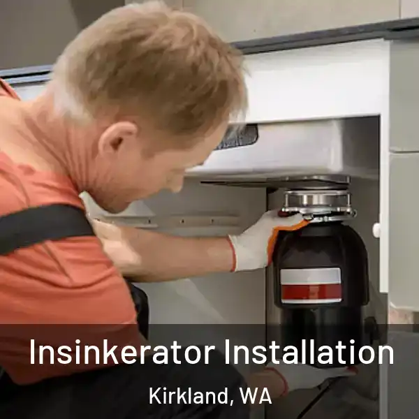  Insinkerator Installation Kirkland, WA