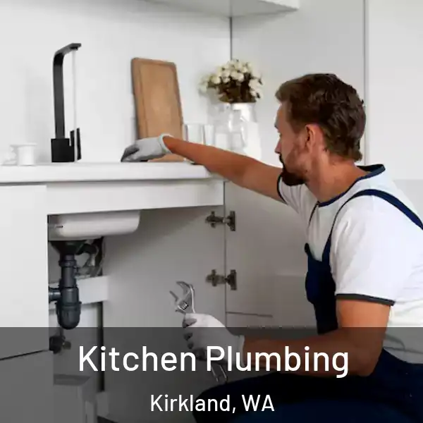  Kitchen Plumbing Kirkland, WA