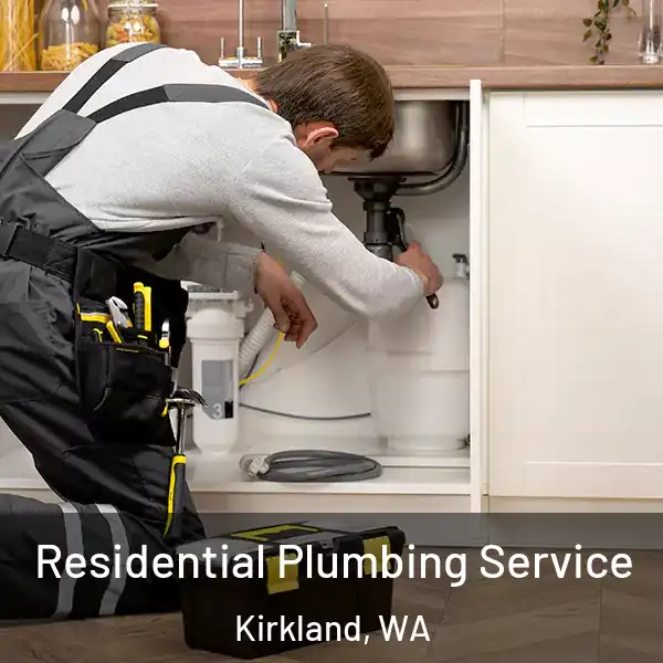  Residential Plumbing Service Kirkland, WA