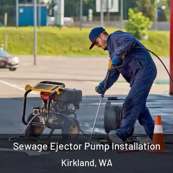  Sewage Ejector Pump Installation Kirkland, WA