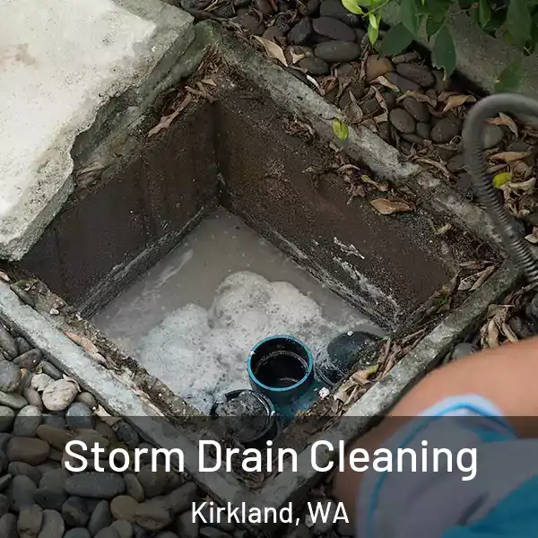  Storm Drain Cleaning Kirkland, WA