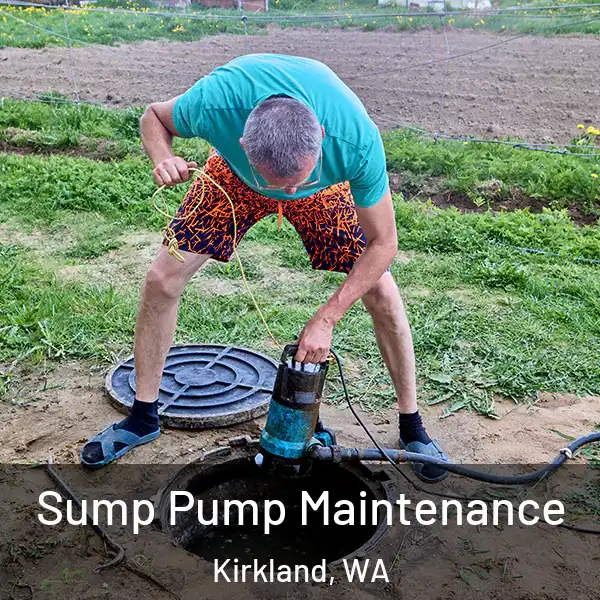  Sump Pump Maintenance Kirkland, WA