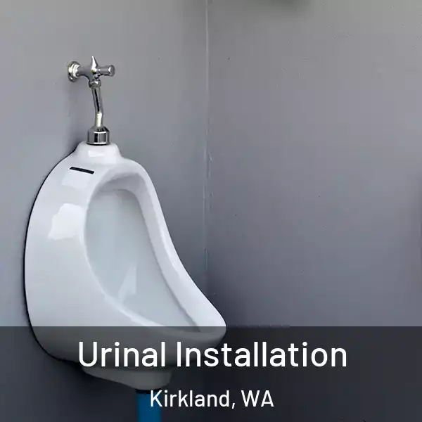  Urinal Installation Kirkland, WA