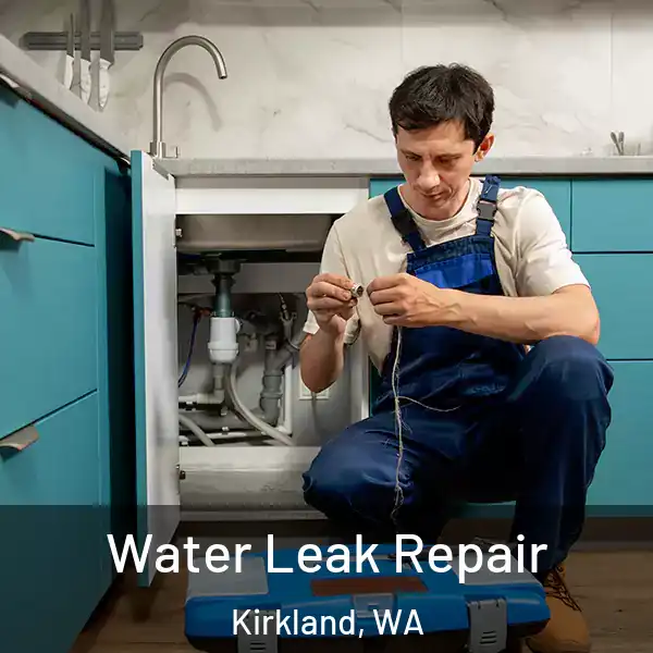  Water Leak Repair Kirkland, WA