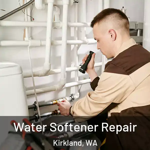  Water Softener Repair Kirkland, WA