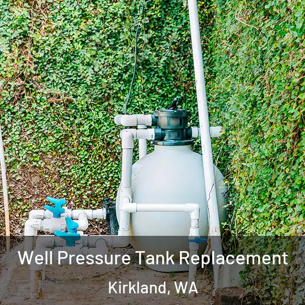  Well Pressure Tank Replacement Kirkland, WA